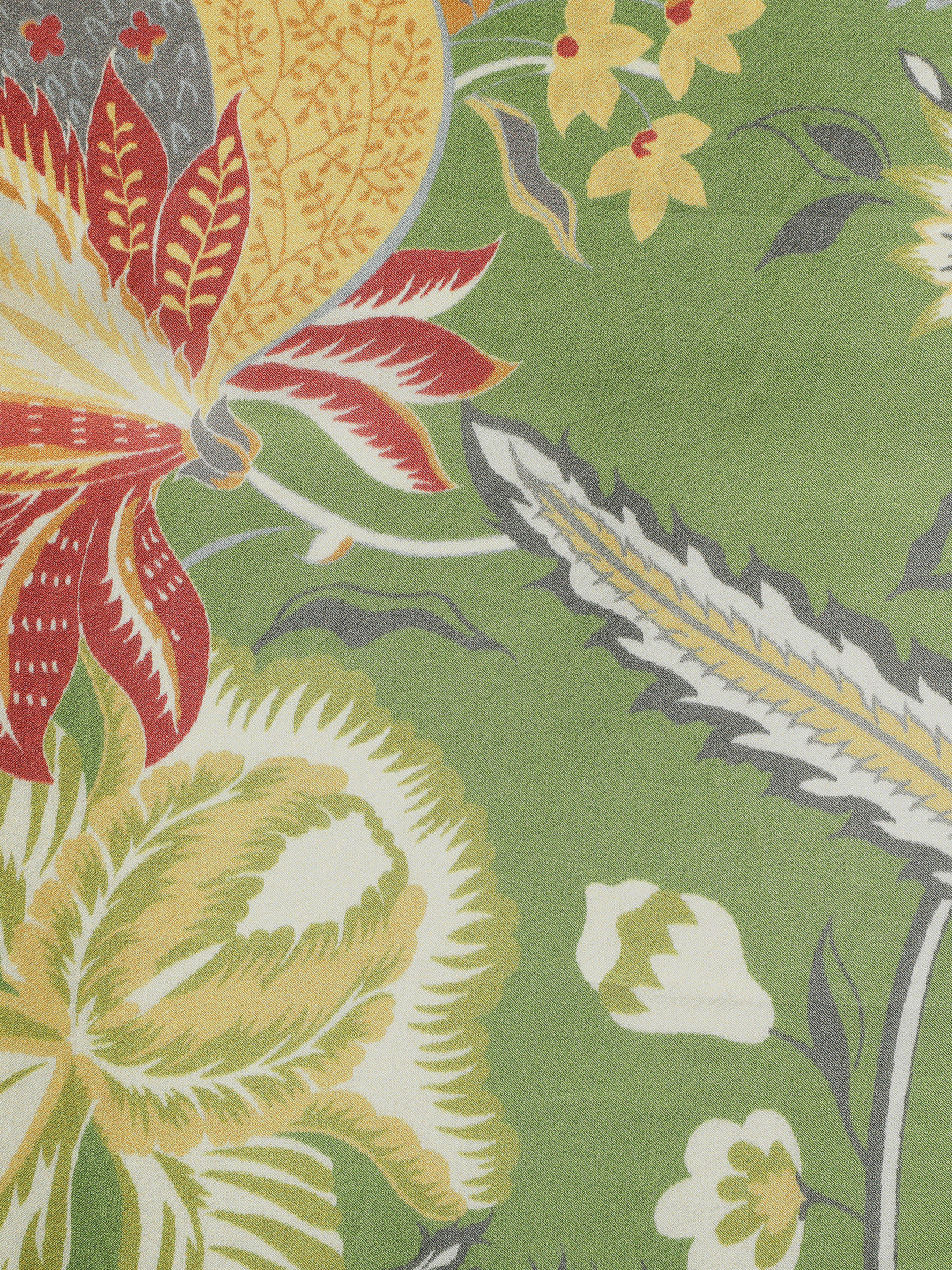 Pakhi Women Floral Pure Silk Printed Stole