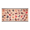 Shawl for Women - Shingora